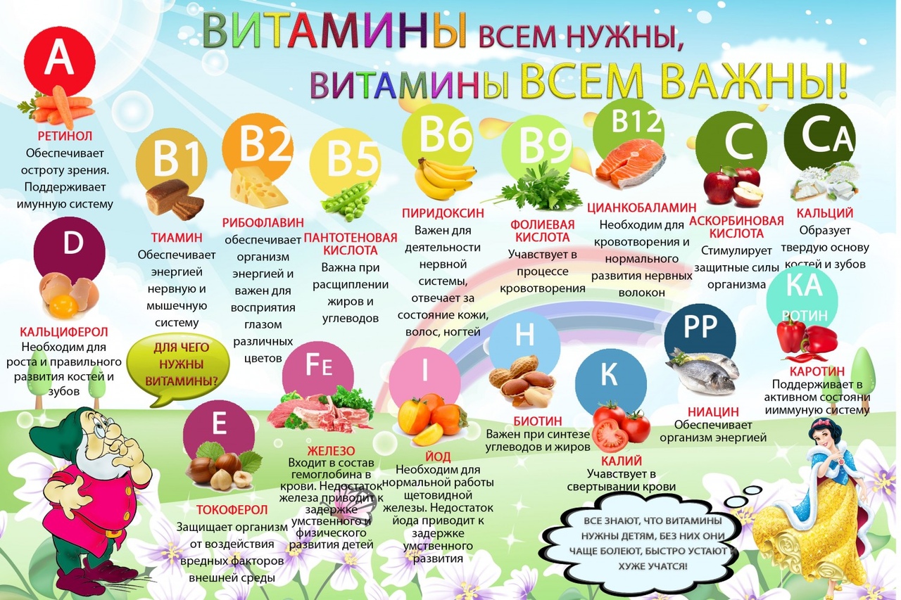 Для Чего Нужно Правильное Питание Для Детей